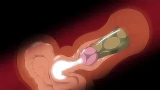 Gay Porn 5